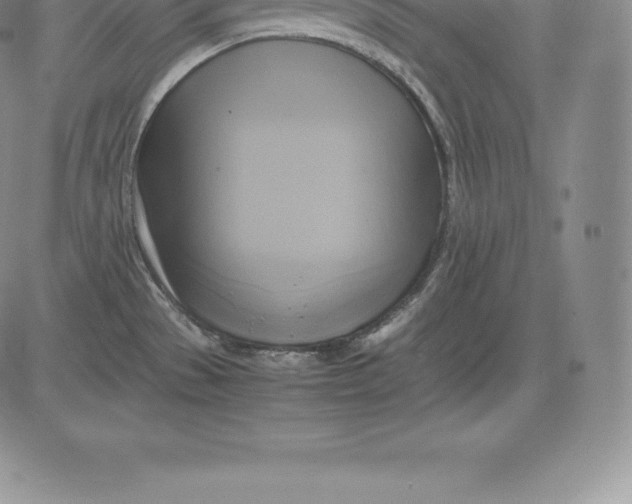 X0000083621529200703051556