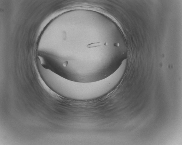 X0000083621531200703051556