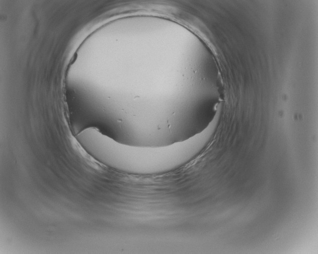 X0000083621532200703051556