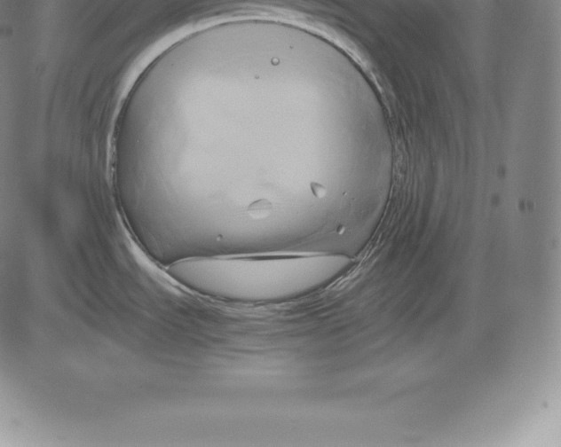 X0000083621535200703051556