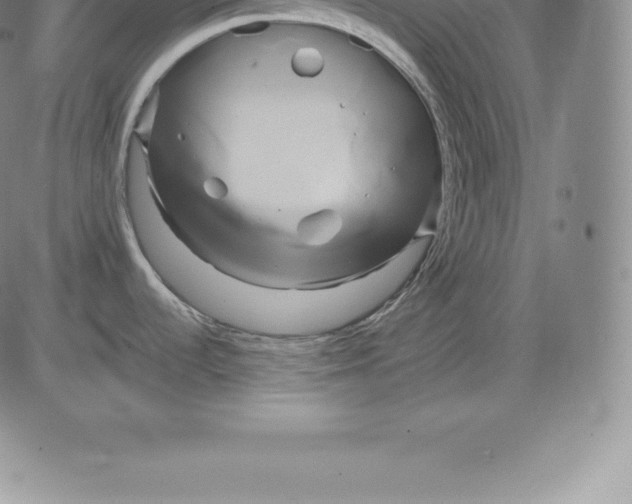 X0000083621536200703051556