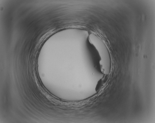 X0000083620001200703121640