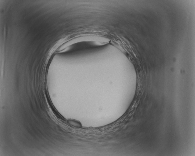 X0000083620003200703121640