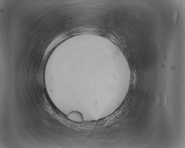 X0000083620004200703121640