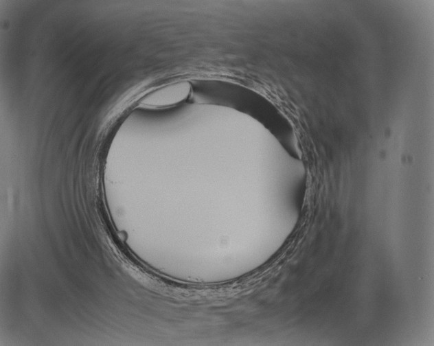 X0000083620005200703121640