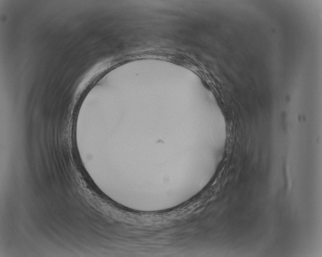 X0000083620006200703121640