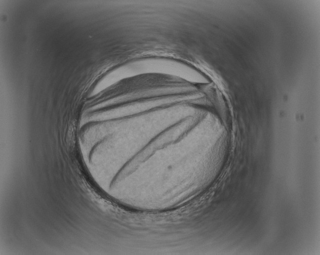 X0000083620009200703121640