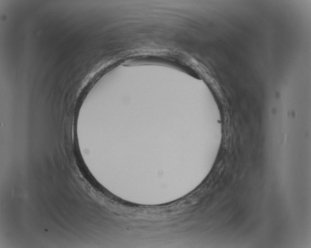 X0000083620011200703121640