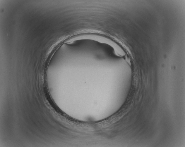 X0000083620015200703121640