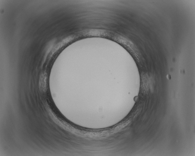 X0000083620016200703121640