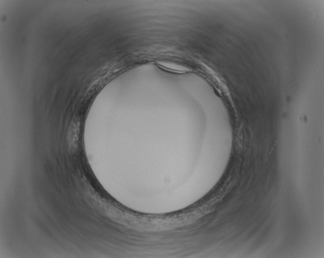 X0000083620018200703121640