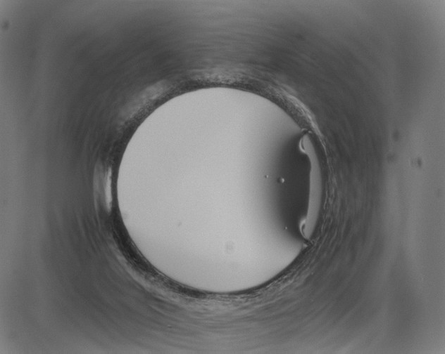 X0000083620020200703121640