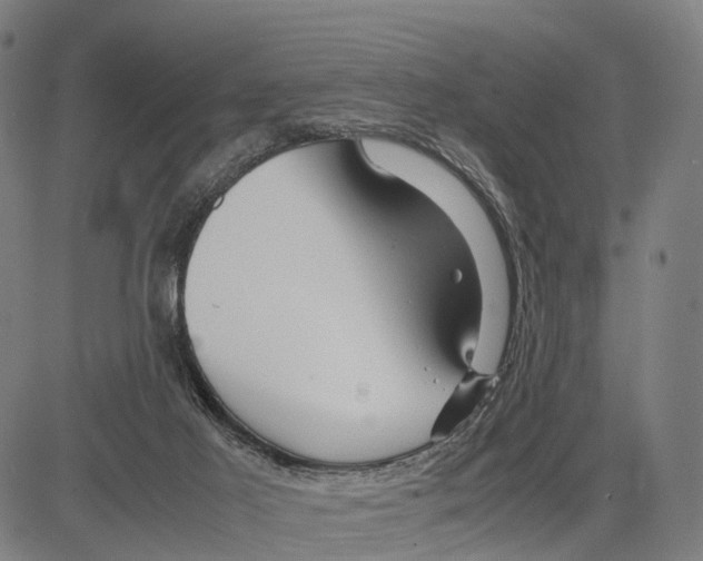 X0000083620021200703121640