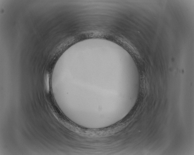 X0000083620022200703121640