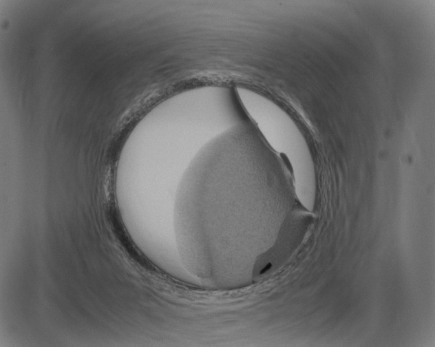 X0000083620023200703121640