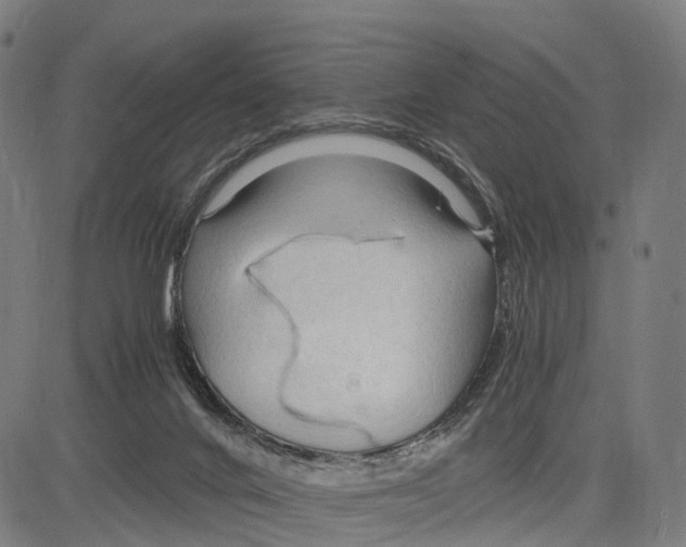 X0000083620024200703121640