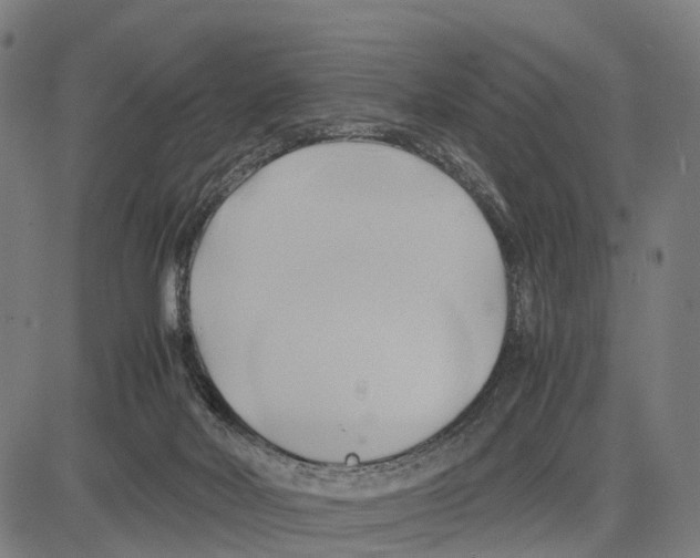 X0000083620026200703121640