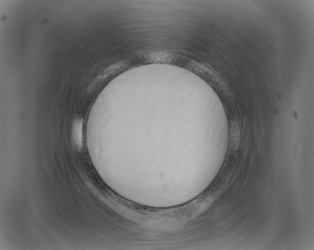 X0000083620028200703121640