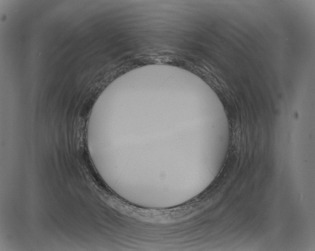 X0000083620030200703121640