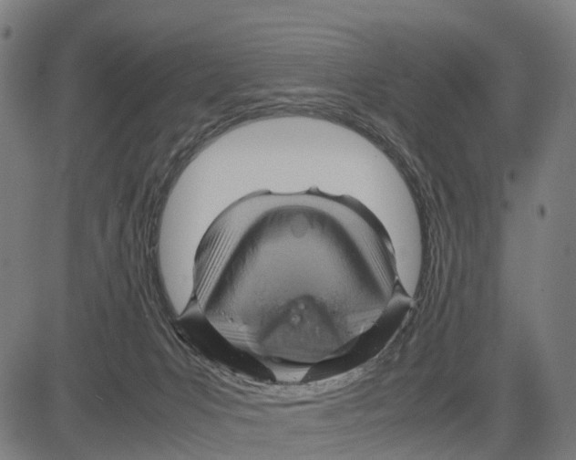 X0000083620031200703121640