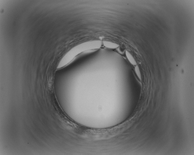 X0000083620033200703121640