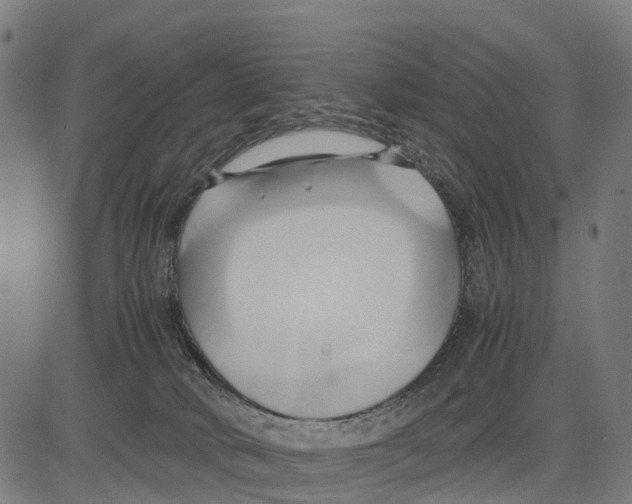 X0000083620034200703121640