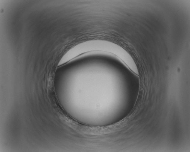 X0000083620037200703121640