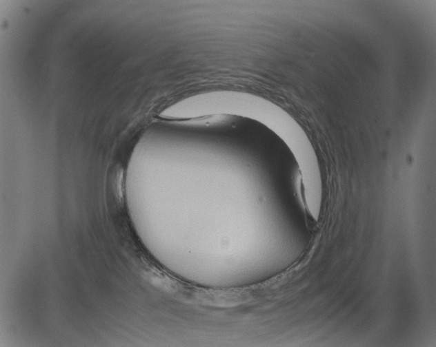 X0000083620041200703121640