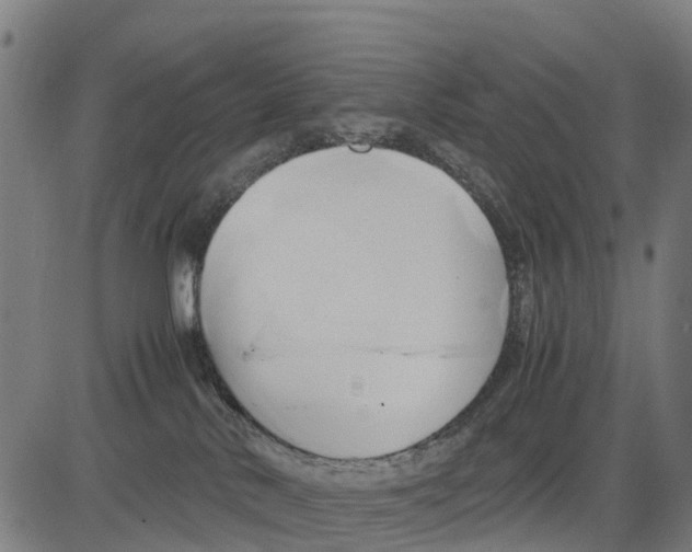 X0000083620042200703121639