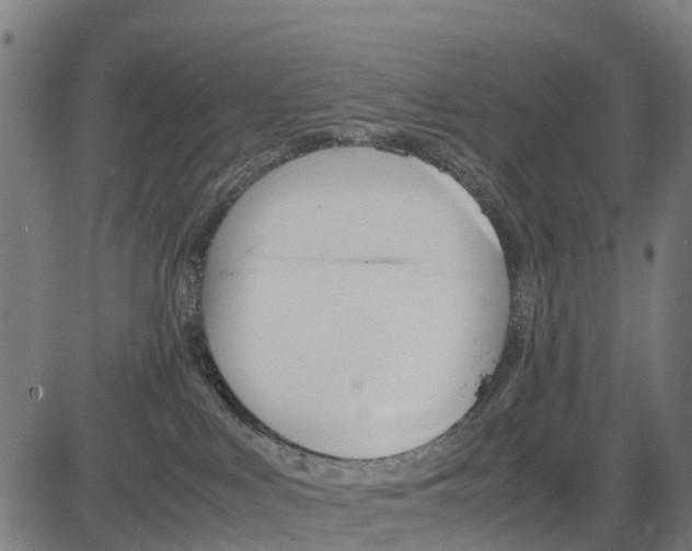 X0000083620043200703121639