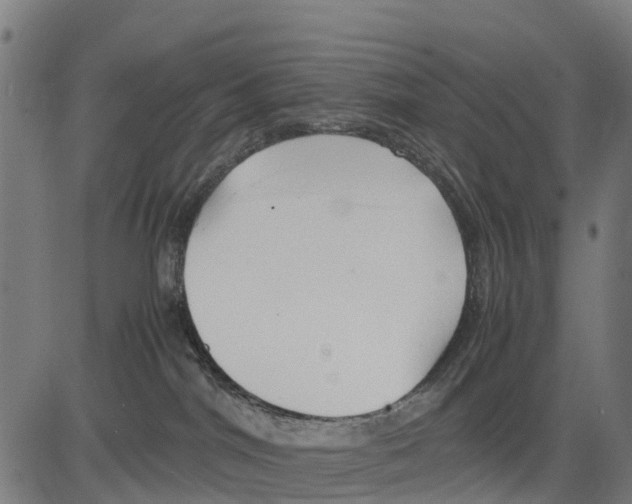 X0000083620044200703121639