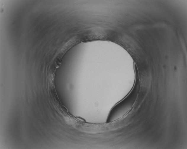 X0000083620045200703121639