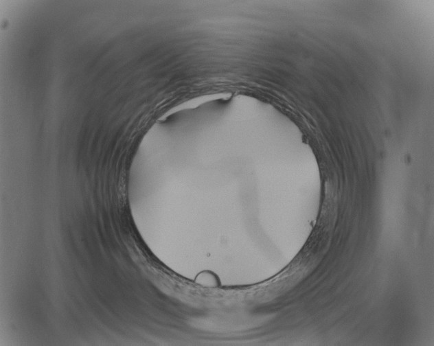 X0000083620048200703121639