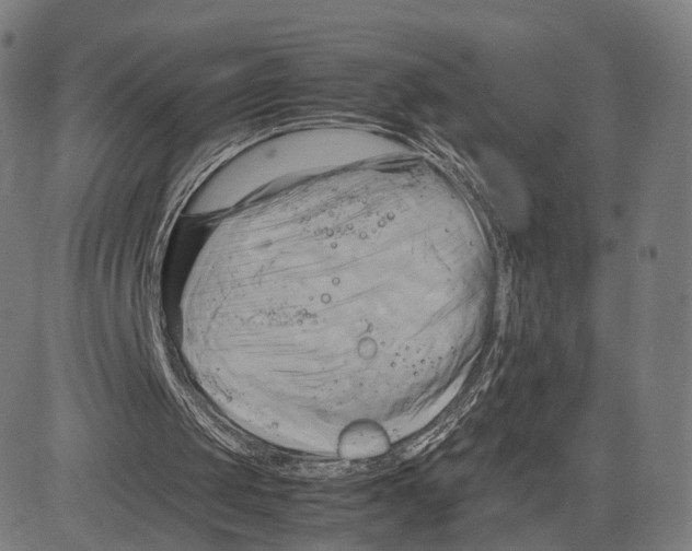 X0000083620049200703121639