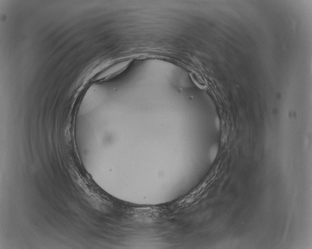 X0000083620050200703121639