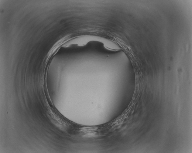 X0000083620051200703121639