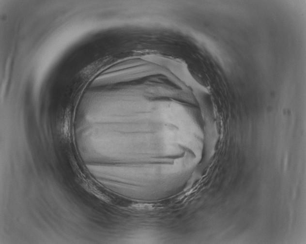 X0000083620052200703121639