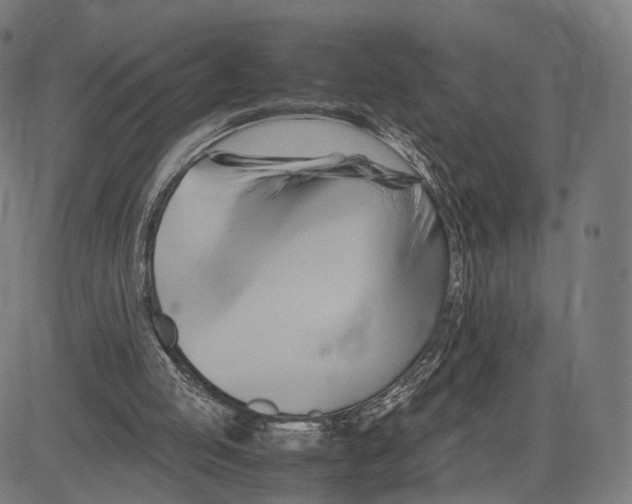 X0000083620053200703121639