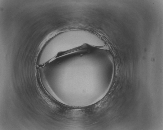 X0000083620054200703121639