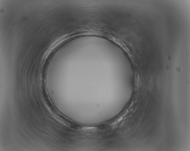 X0000083620055200703121639