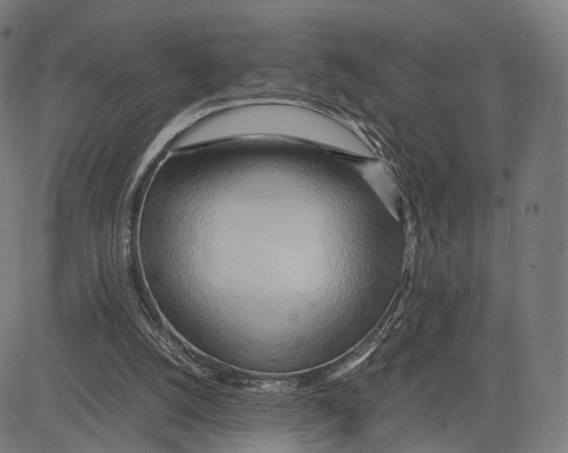 X0000083620056200703121639