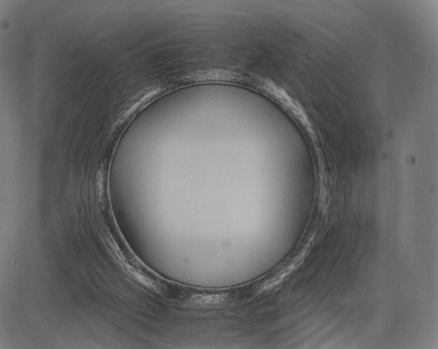 X0000083620057200703121639