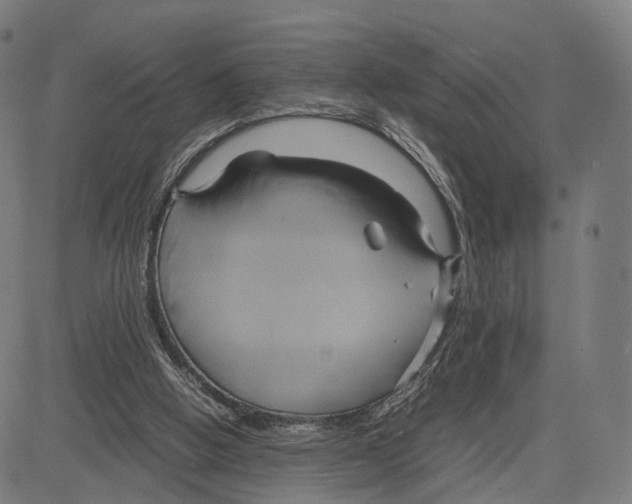 X0000083620058200703121639