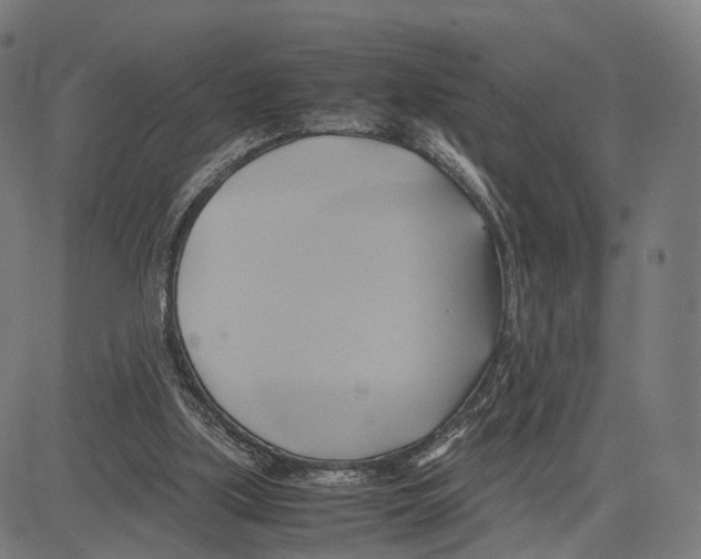 X0000083620059200703121639