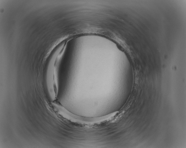 X0000083620060200703121639