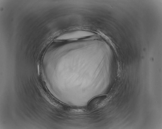 X0000083620061200703121639