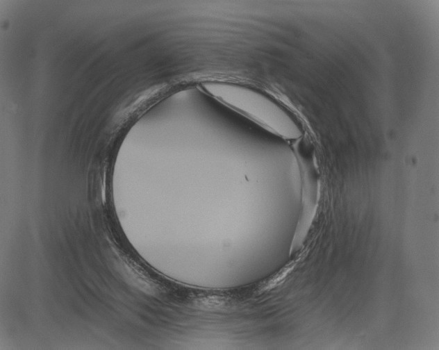 X0000083620062200703121639