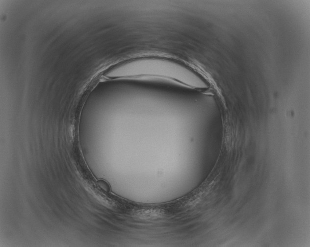 X0000083620063200703121639