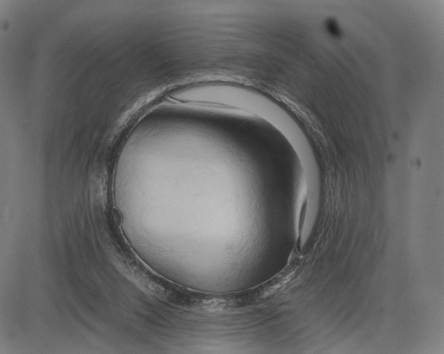 X0000083620064200703121639