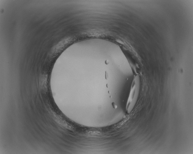 X0000083620066200703121639